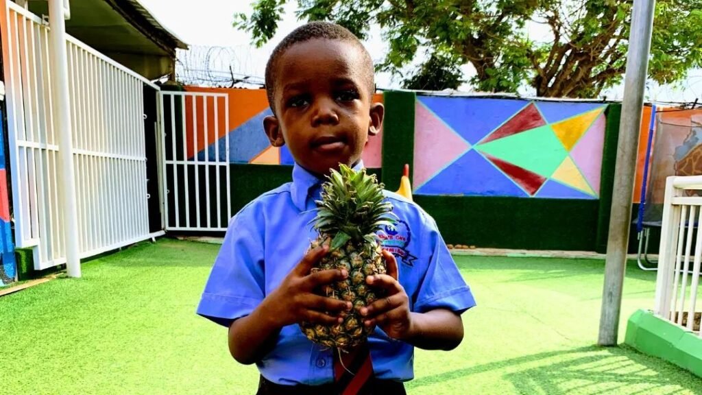 Kings Care Universal School